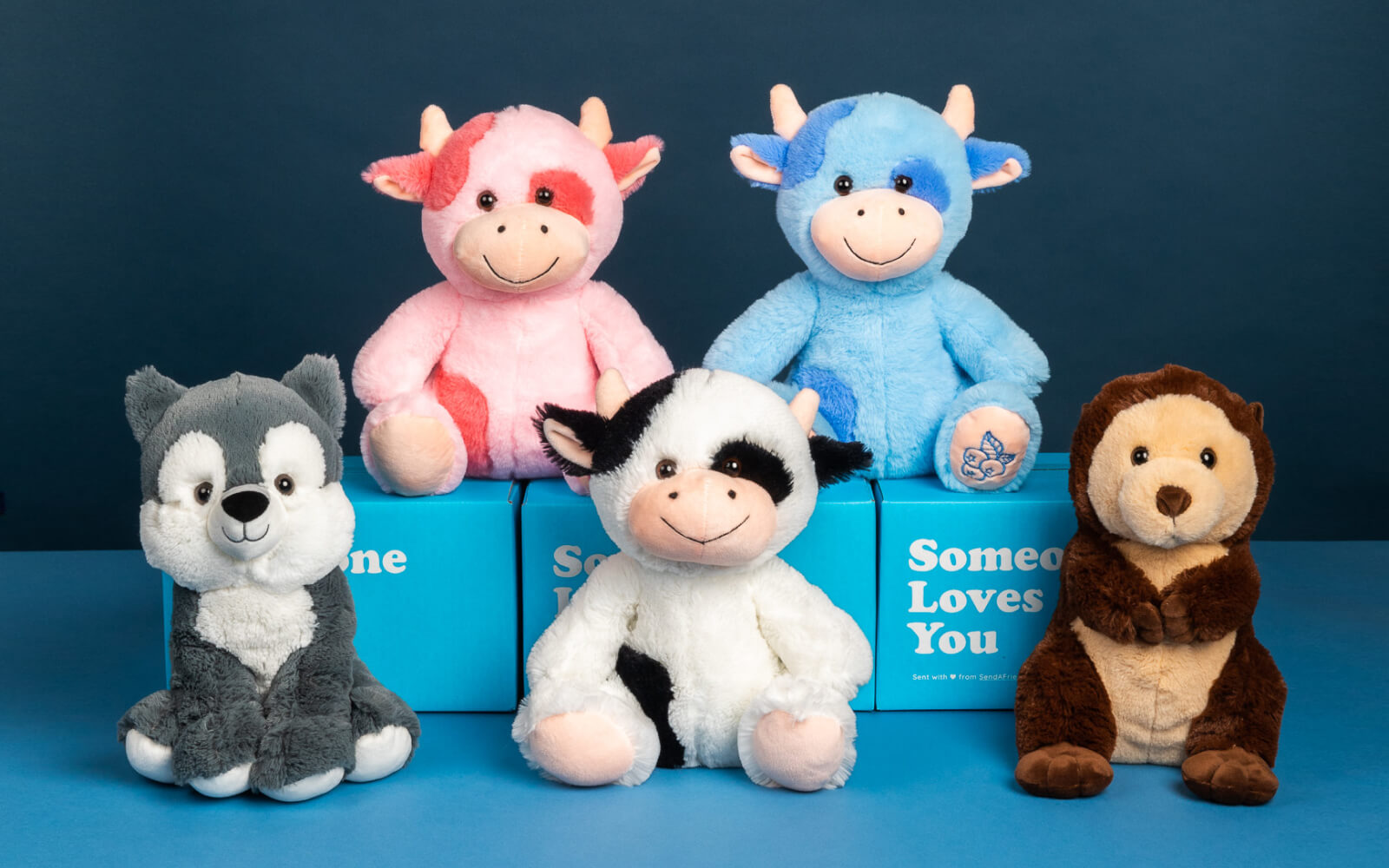 Stuffed Animal Collection
