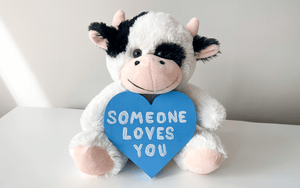 Cooper the Cow with a blue heart that says "Someone Loves You"