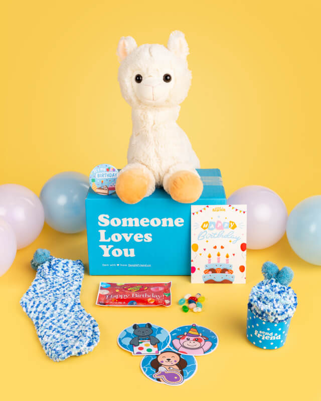 Birthday Bundle  SendAFriend's Stuffed Animal Care Packages