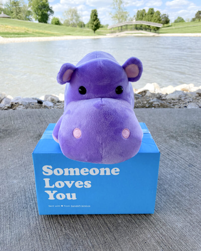Photo of purple Harper the Hippo plushie sitting outdoors on top of Someone Loves You box near body of water