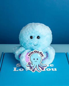 Photo of Ollie the Octopus plushie with matching sticker on Someone Loves You box.