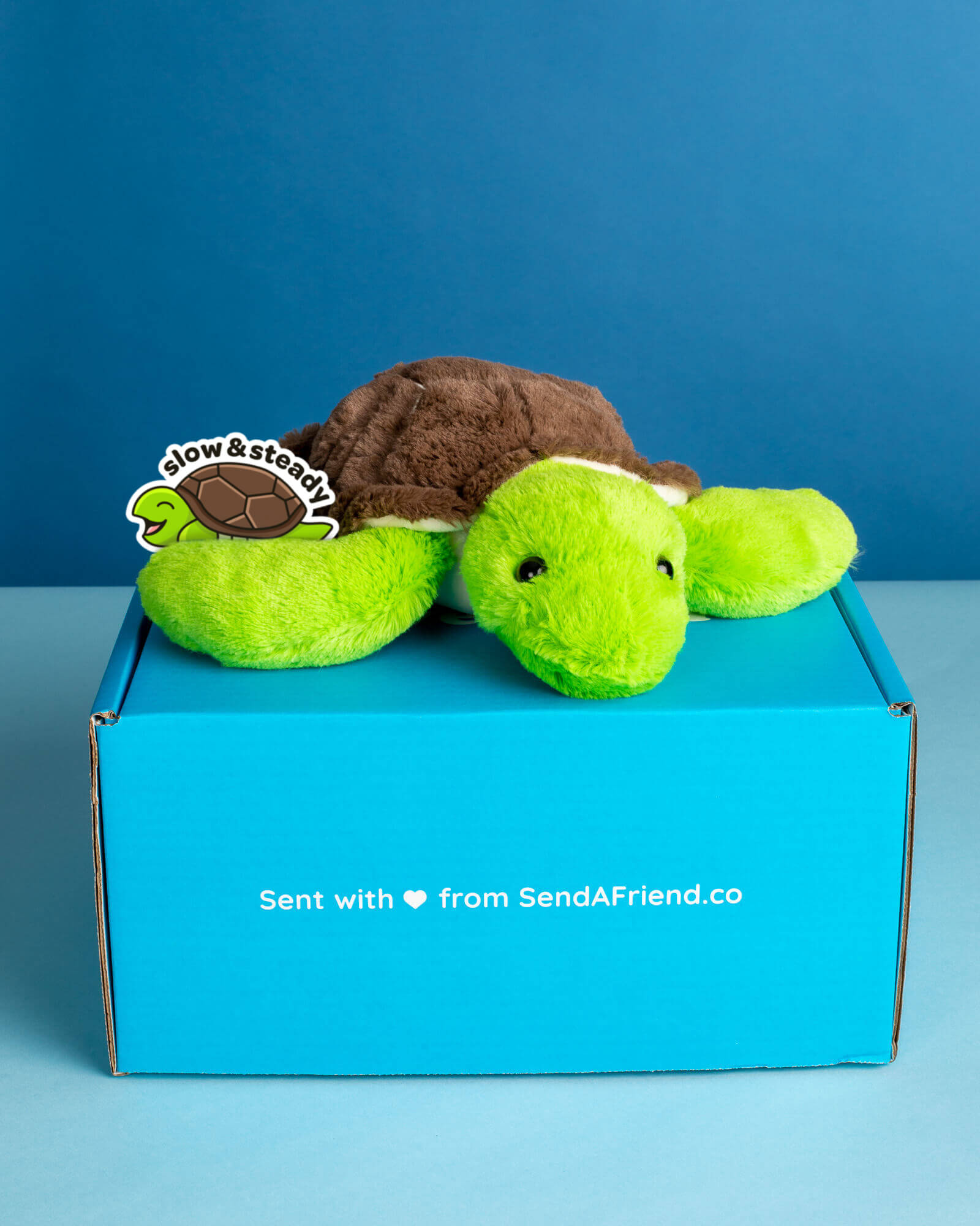 Photo of Tucker the Turtle plushie with matching sticker on Someone Loves You box.