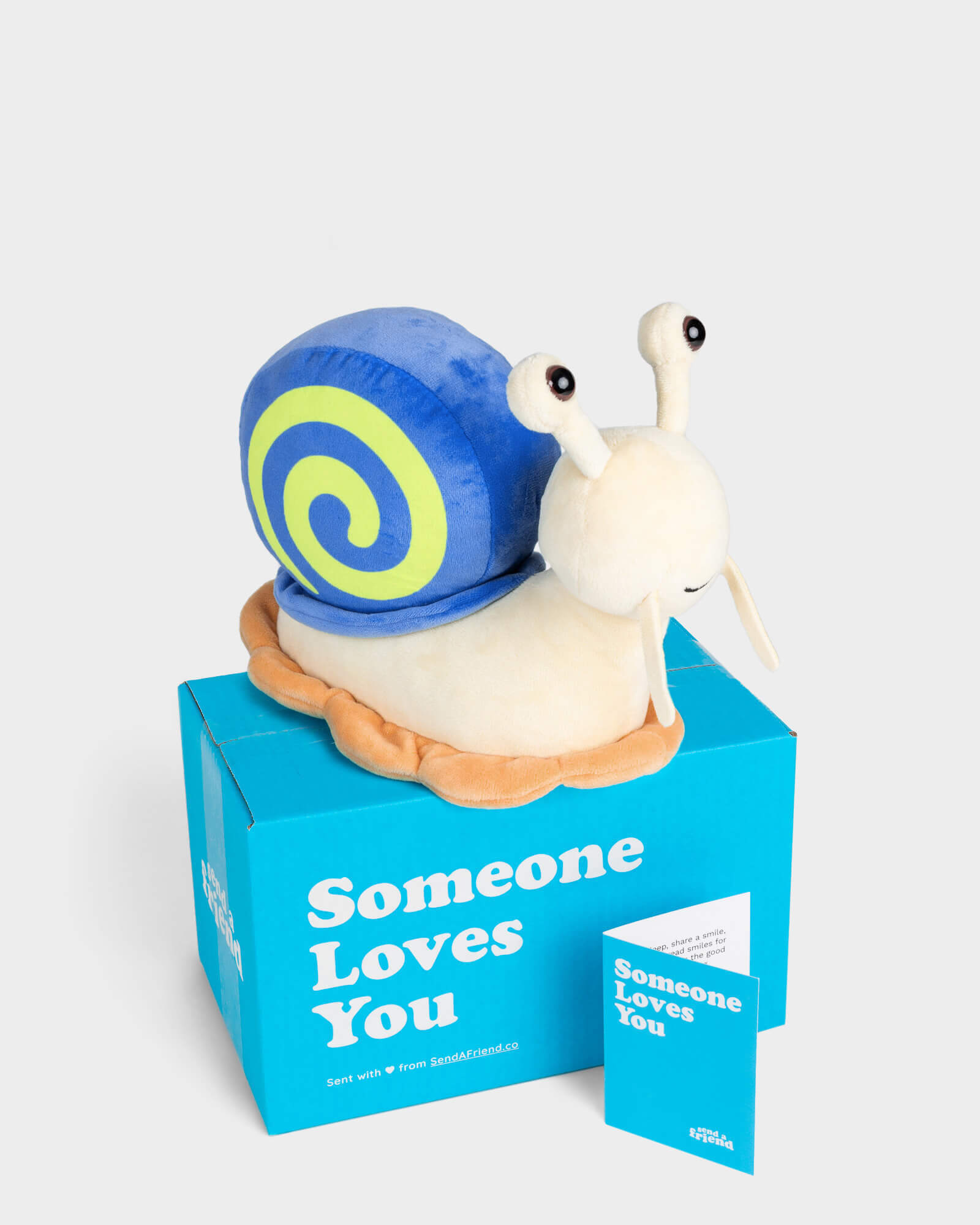 Side view photo of Shelly the Snail plushie (blue shell, white body, tan bottom), Someone Loves You box, and note card