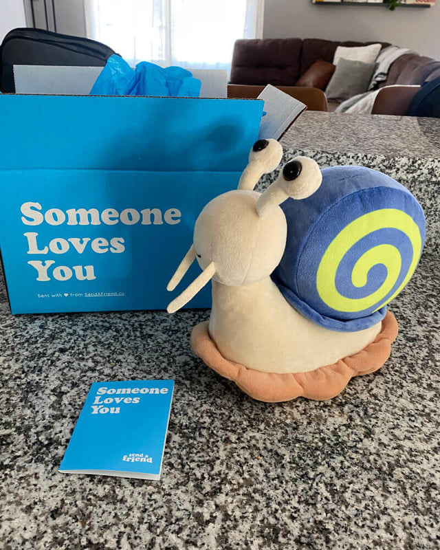 Photo of Shelly the Snail plushie sitting on a counter next to open Someone Loves You box and note card