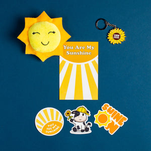 Photo of You Are My Sunshine Bundle: sun shaped pillow for animal, sunflower keychain, promo card, 3 stickers