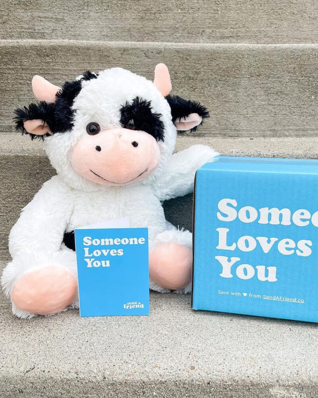 White and Black Cooper the Cow plushie sitting on concrete steps with note card and Someone Loves You box