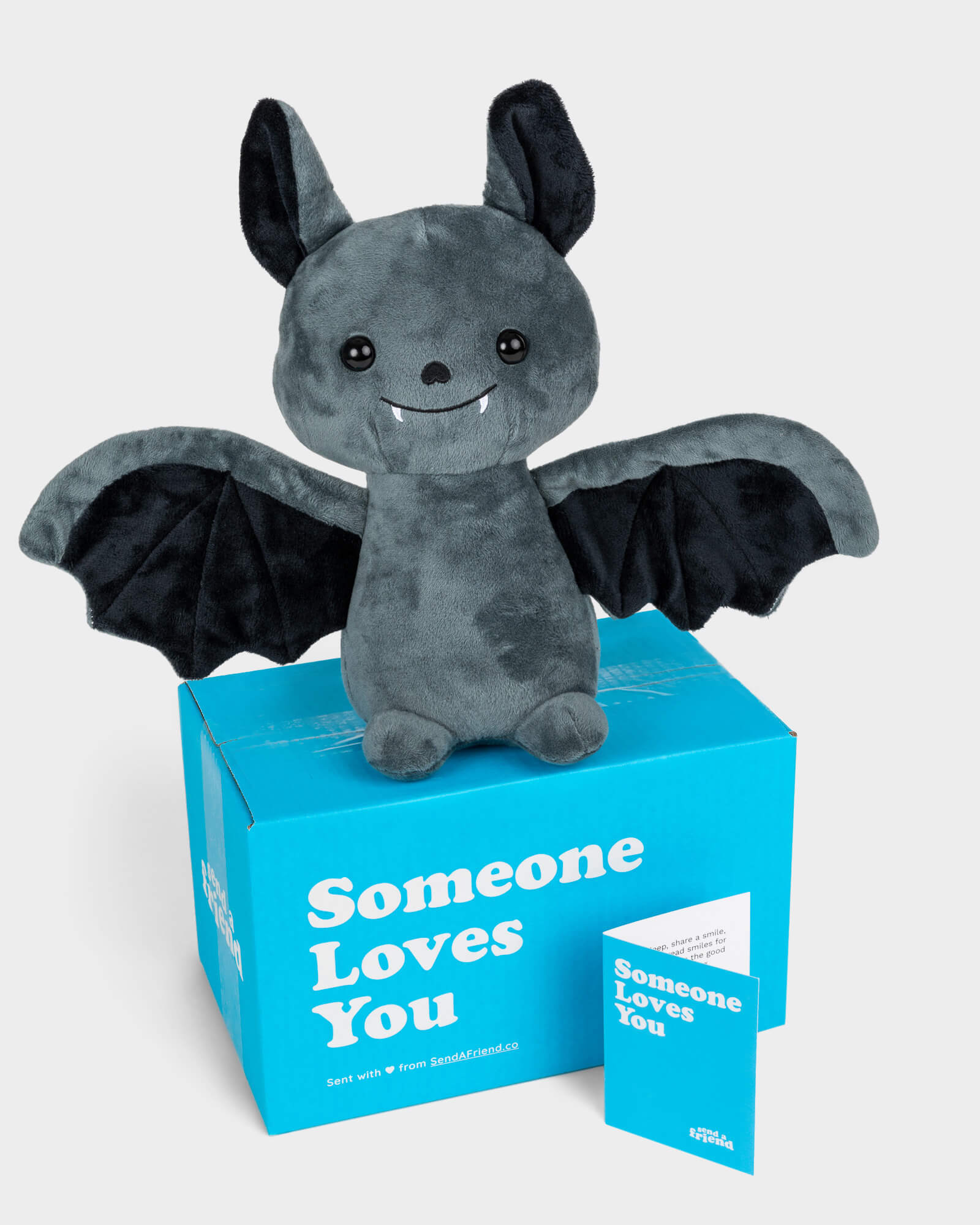 Photo of black Binks the Bat plushie with wings open, Someone Loves You box, and notecard
