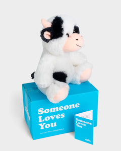 Side view photo of black and white Cooper the Cow plushie, Someone Loves You box, and notecard