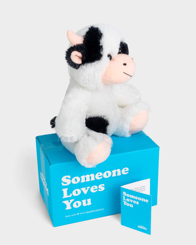 Side view photo of black and white Cooper the Cow plushie, Someone Loves You box, and notecard