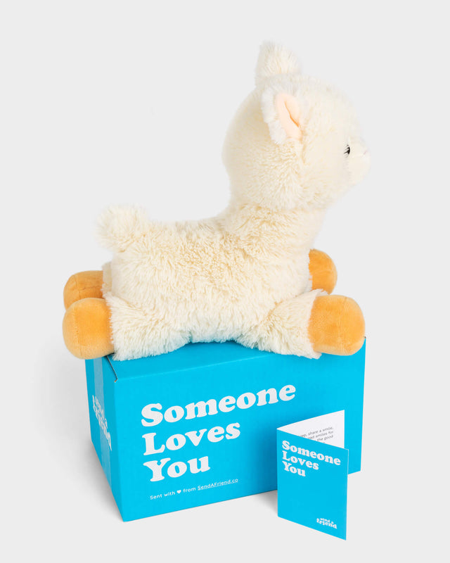 Side view photo of white Lawrence the Llama plushie, blue Someone Loves You box, and note card