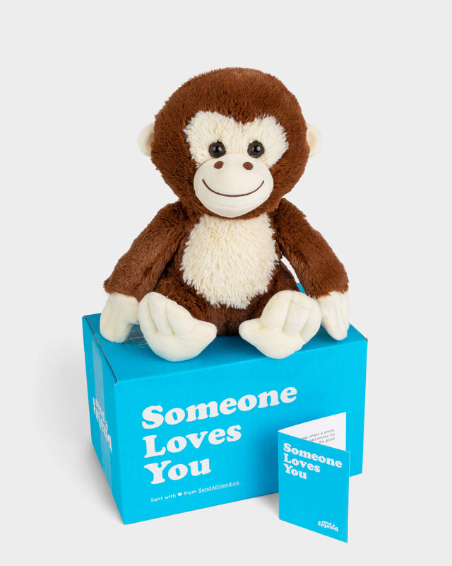 Photo of brown Maria the Monkey plushie with Someone Loves You box and notecard