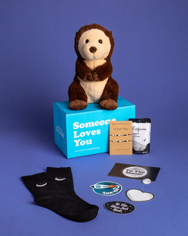 Photo of Oliver the Otter plushie, To The Moon & Back Bundle, and Someone Loves You box
