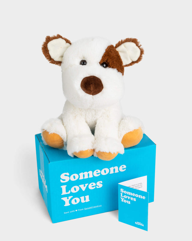 Photo of white and brown Peanut the Puppy plushie with Someone Loves You box and notecard