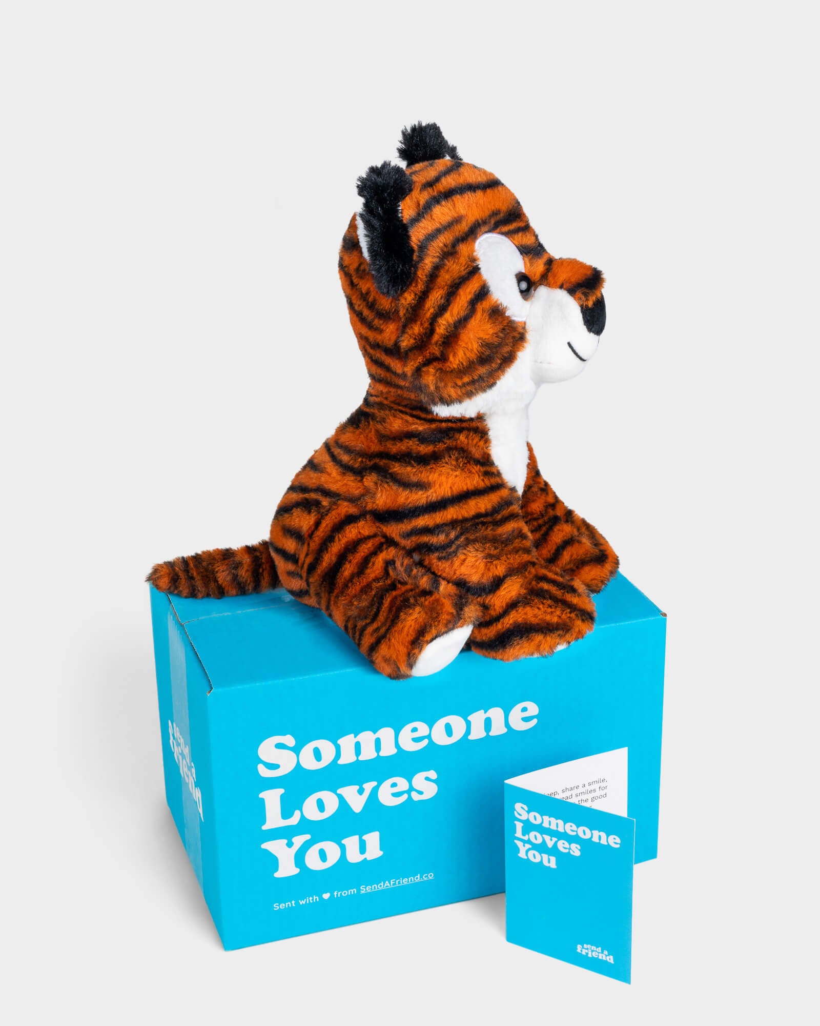 Side view photo of orange and black striped Tilly the Tiger plushie, Someone Loves You box, and note card