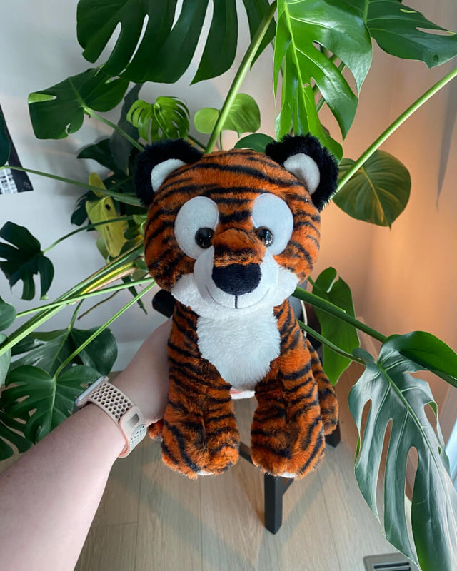 Photo of hand holding orange and black striped Tilly the Tiger plushie in front of a plant with large green leaves