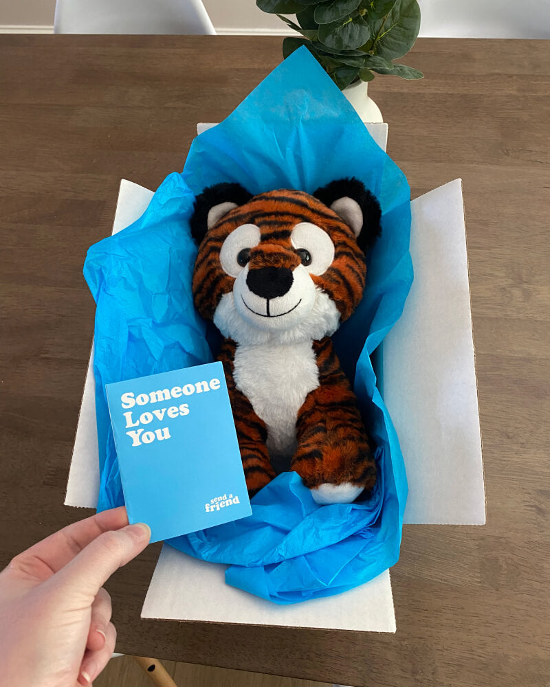 Photo of orange and black Tilly the Tiger plushie in blue tissue paper in box with hand holding note card