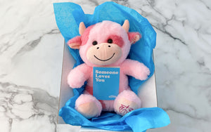 Sally the Strawberry Cow in box with notecard