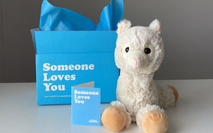 stuffed animal llama with box and notecard