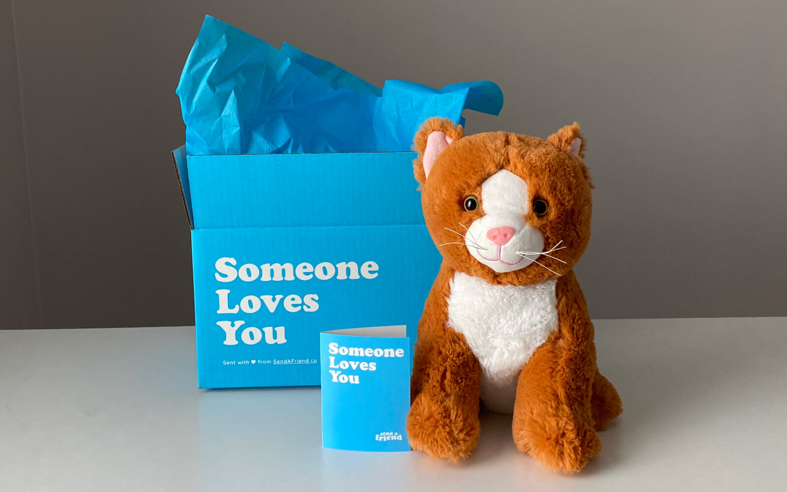 orange and white stuffed animal cat next to notecard and blue "someone loves you" box