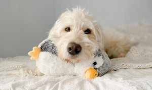 dog resting head on stuffed penguin