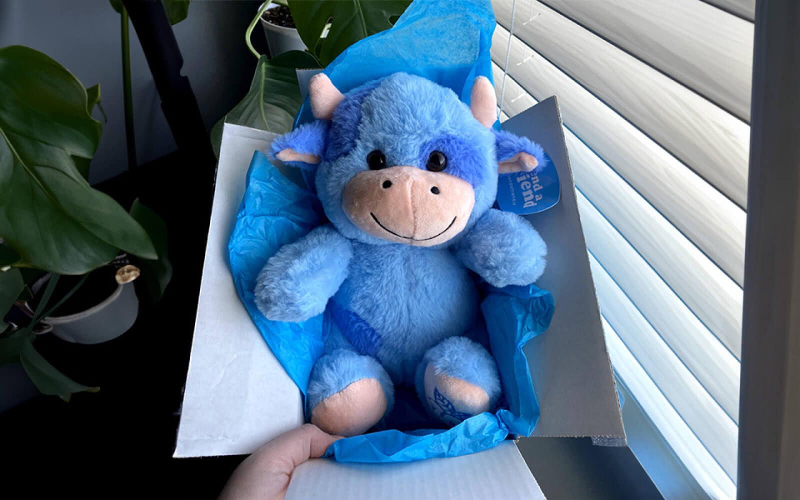 blue cow stuffed animal in box