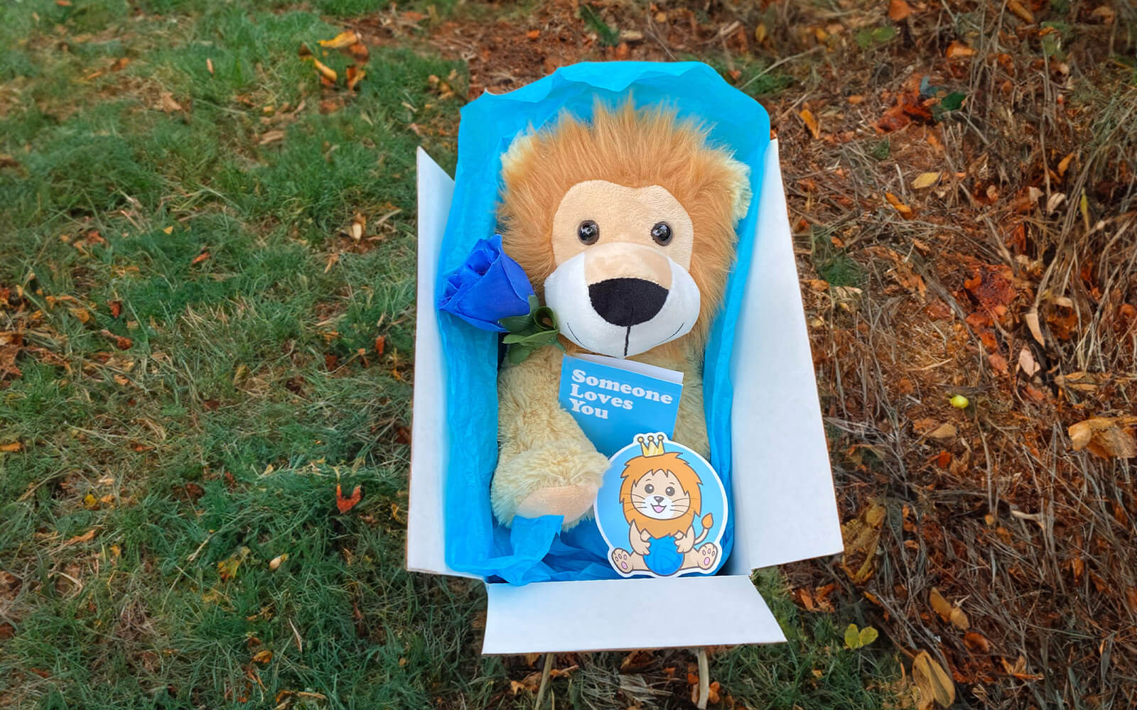 Leroy the Lion inside of a care package with matching sticker, a blue rose, and Someone Loves You card