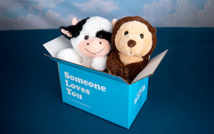 cow and otter stuffed animal in "someone loves you" box