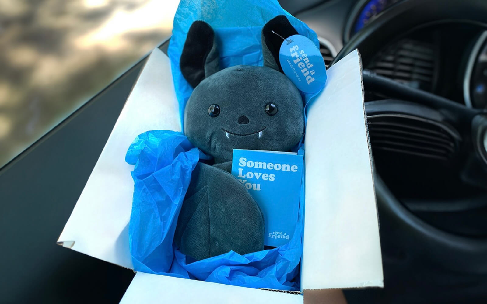 bat stuffed animal in box with "someone loves you" notecard