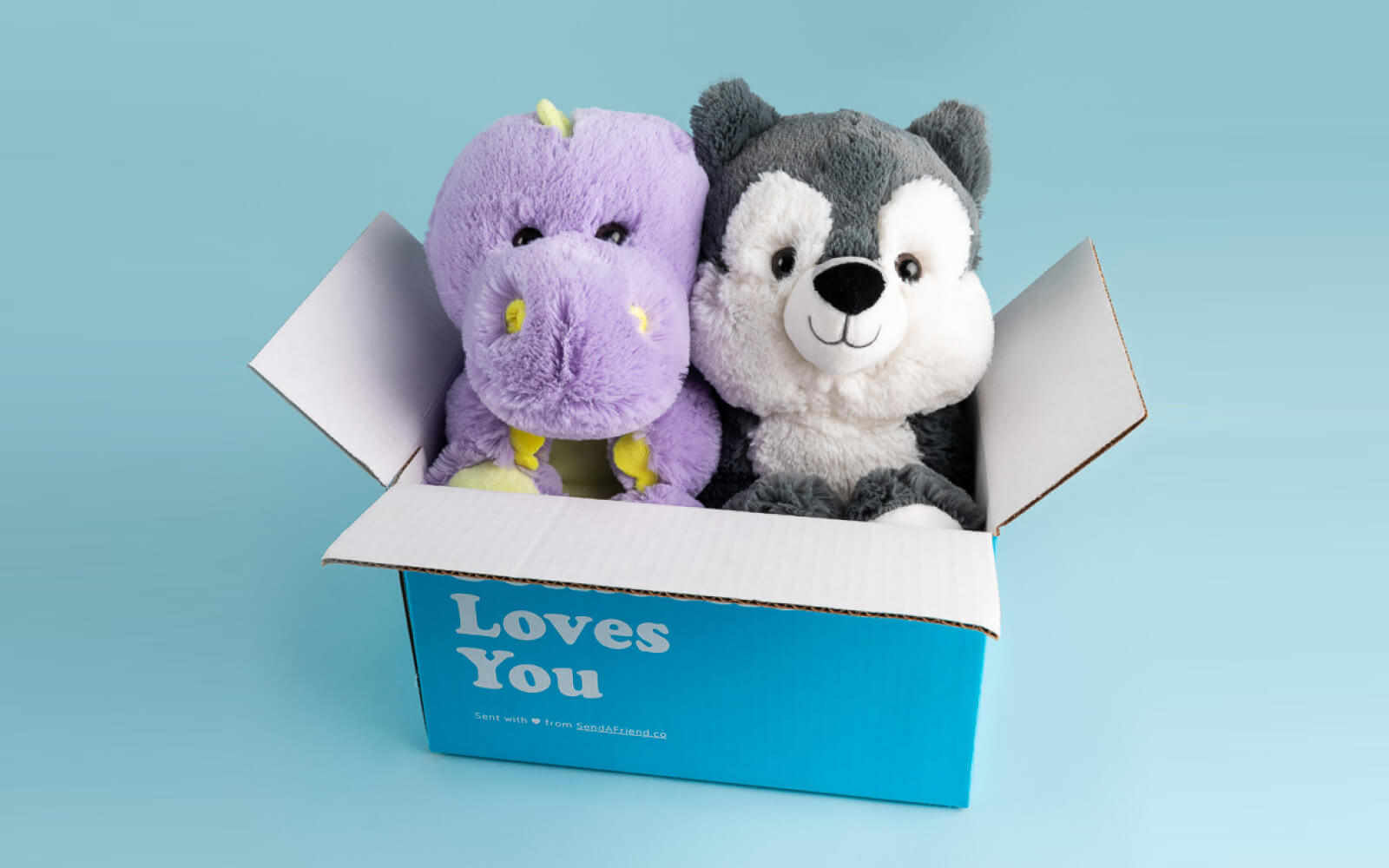 dexter the dino and winston the wolf stuffed animal in a "someone loves you" box