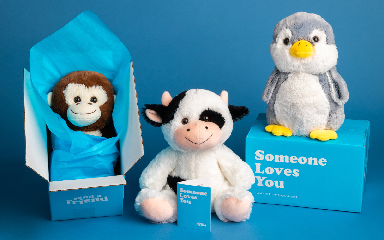 a stuffed monkey, cow, and penguin "someone loves you" care package
