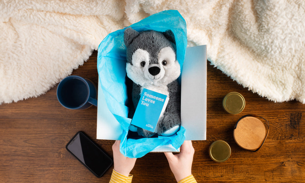 wolf stuffed animal in blue box with notecard on top