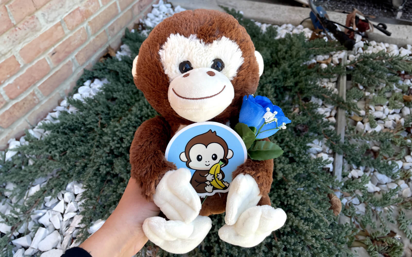 person holding stuffed animal monkey with sticker and rose