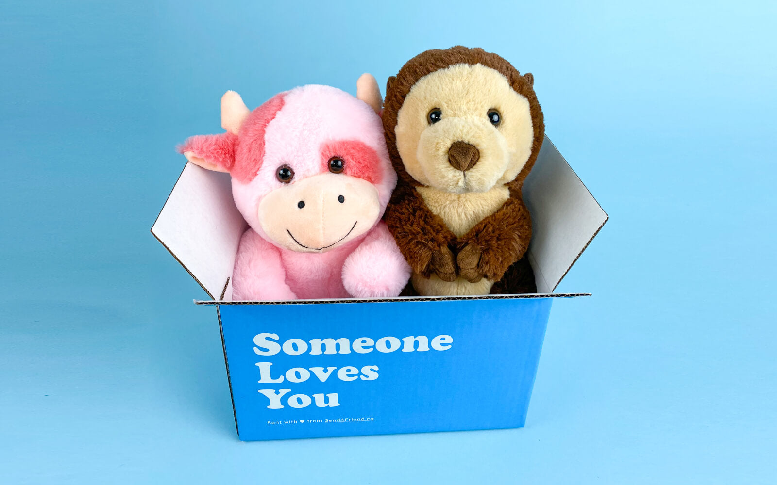 pink cow and otter stuffed animal in blue "someone loves you" box