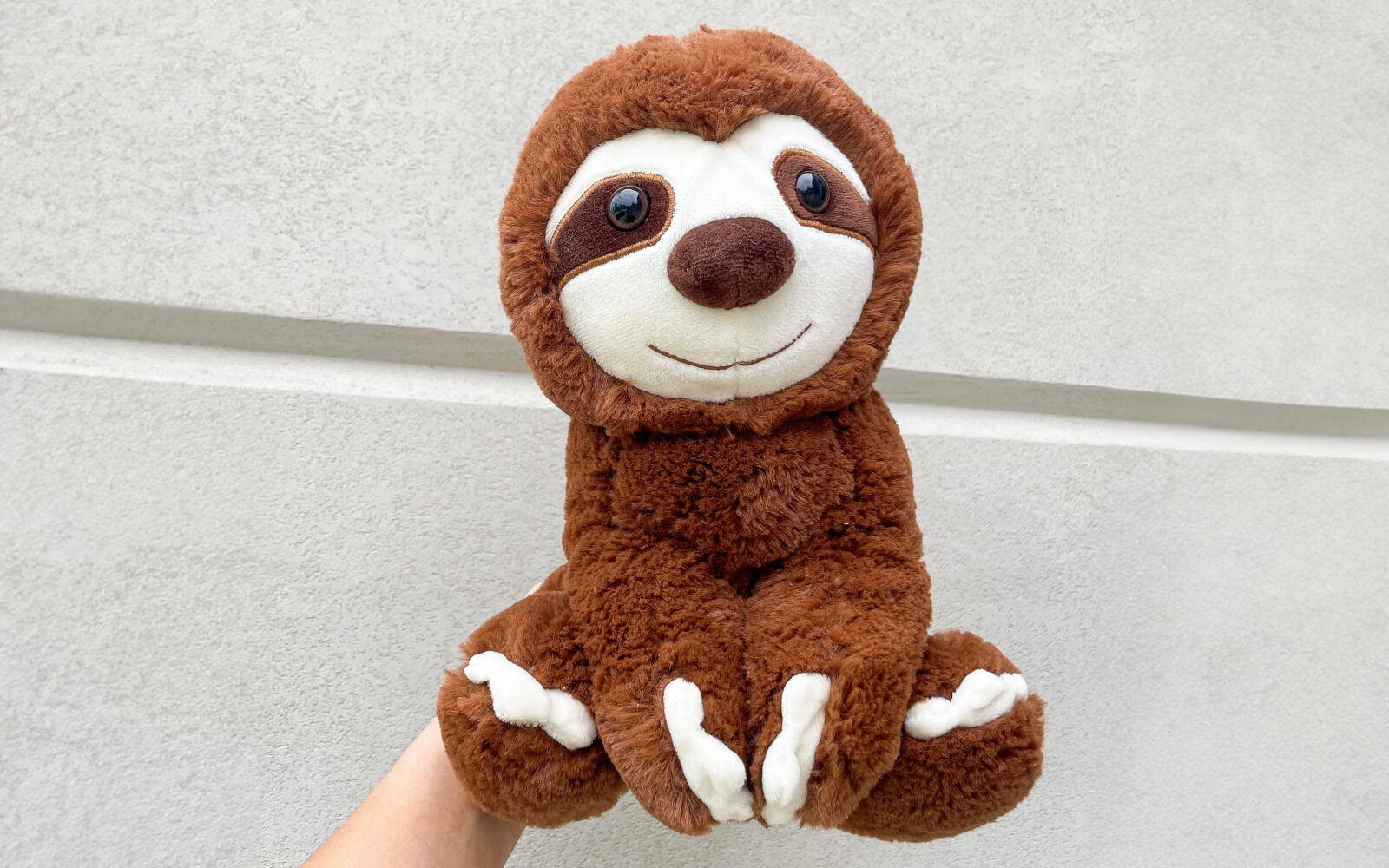 person holding sloth stuffed animal