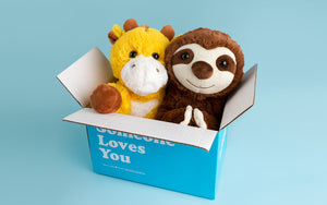 giraffe and sloth stuffed animal in box