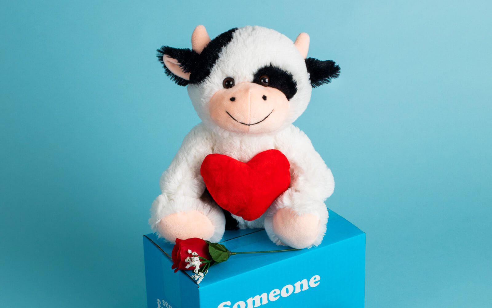 cow stuffed animal with heart pillow and rose