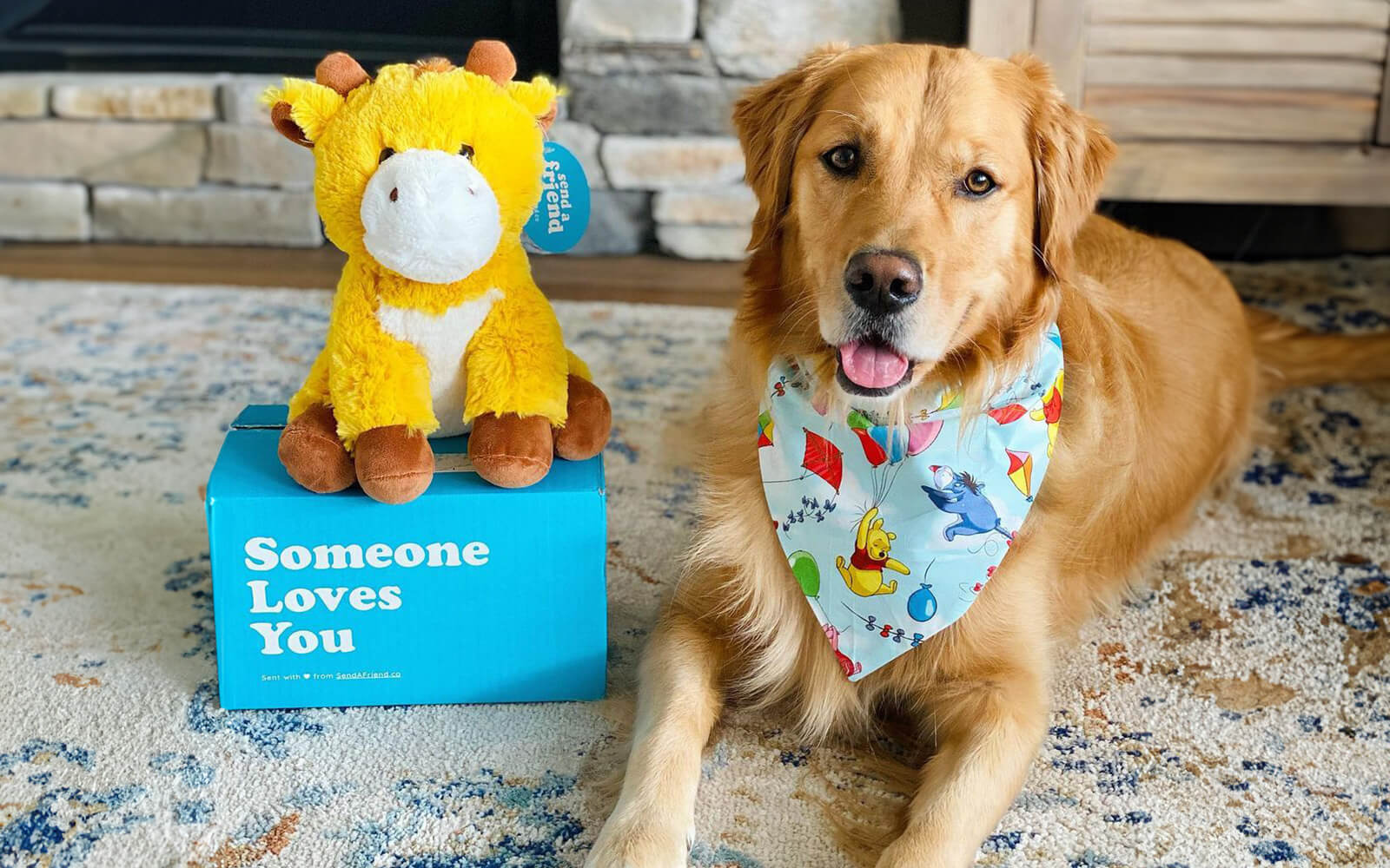 Pictured is George the Giraffe sitting on a Someone Loves You box next to a golden retriever