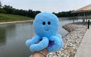 An image of Ollie the Octopus being held outdoors in front of a pond 