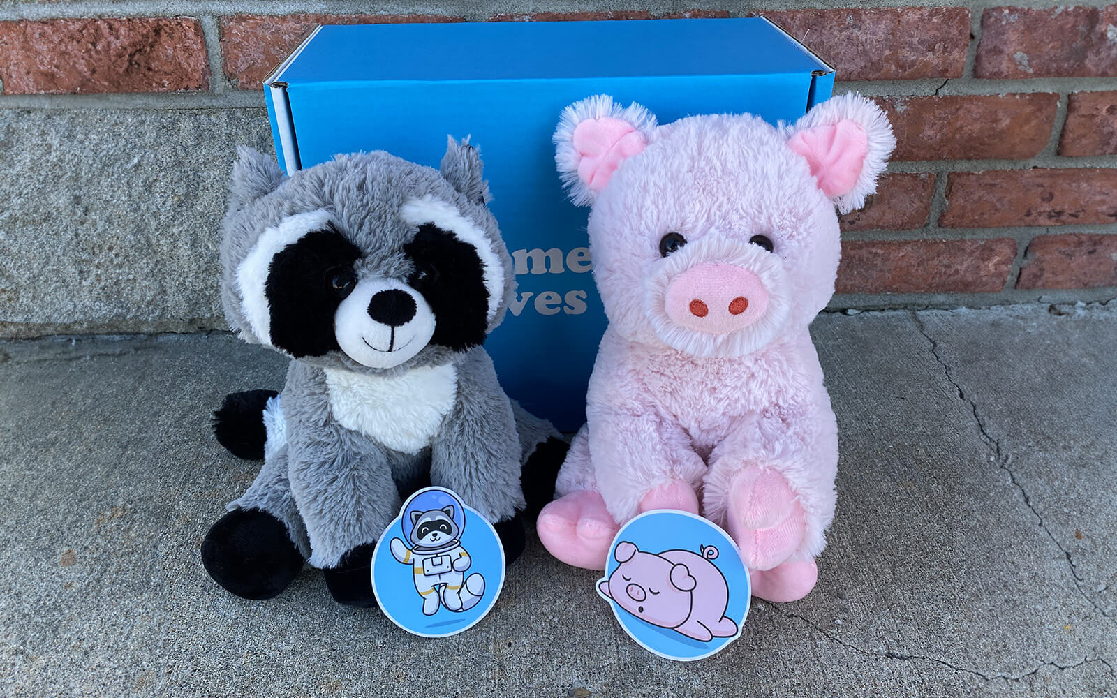 An image of Rosie the Raccoon and Penny the Pig with their stickers, sitting in front of the signature blue "Someone Loves You" box 