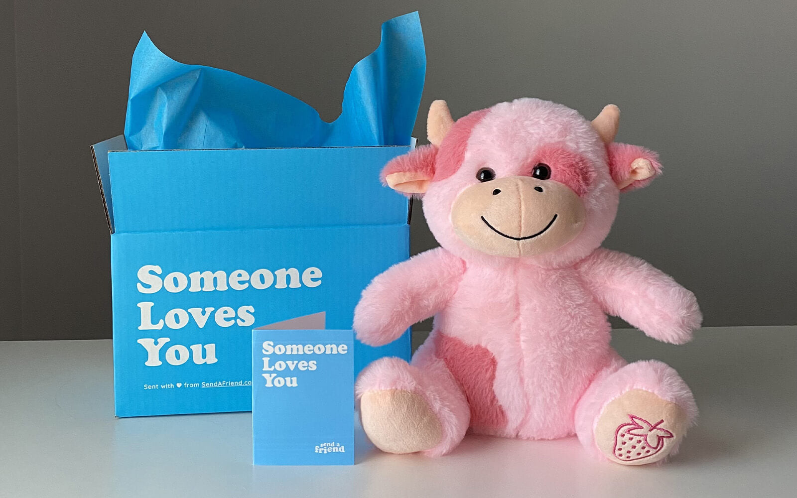 A photo of Sally the Strawberry Cow sitting in front of an open Someone Loves You Box beside a note card