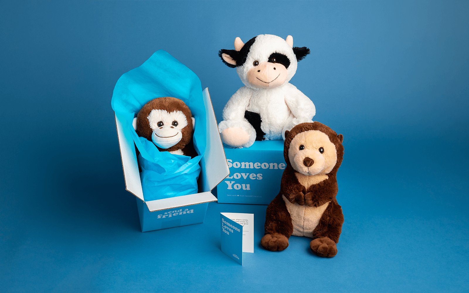 Picture of Maria the Monkey wrapped up in a box, Cooper the Cow sitting on top of a Someone Loves You box, and Oliver the Otter 