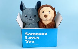 A photo of Binks the Bat and Oliver the Otter sitting in an open Someone Loves You box