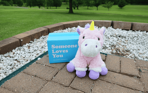 Photo of Unique the Unicorn sitting next to Someone Loves You box