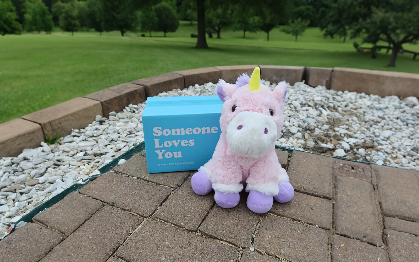 Image of Unique the Unicorn sitting outdoors with the Someone Loves You box 
