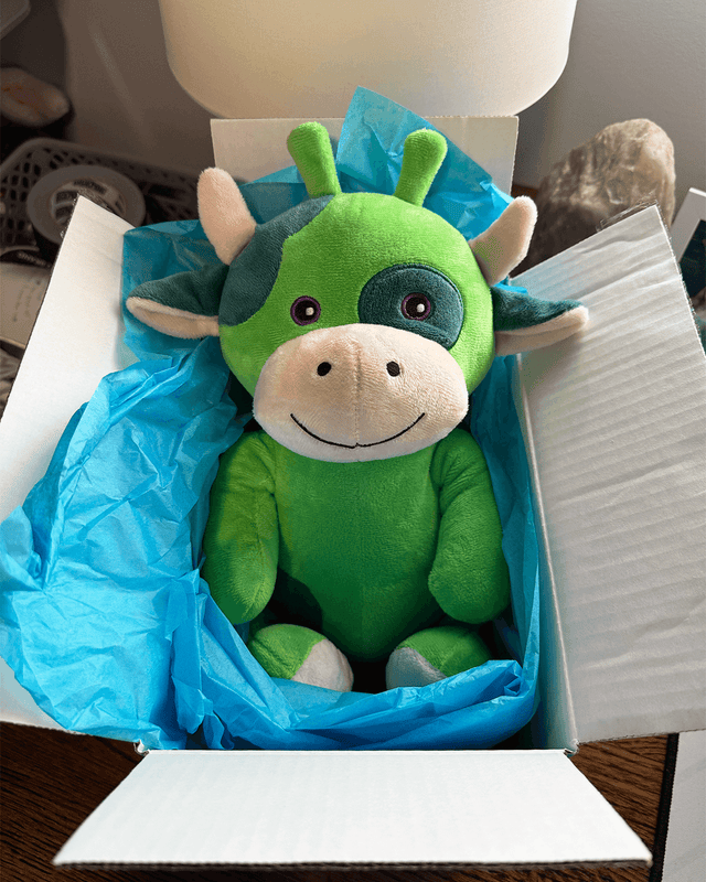 Alphi the Alien Cow 🛸🐮