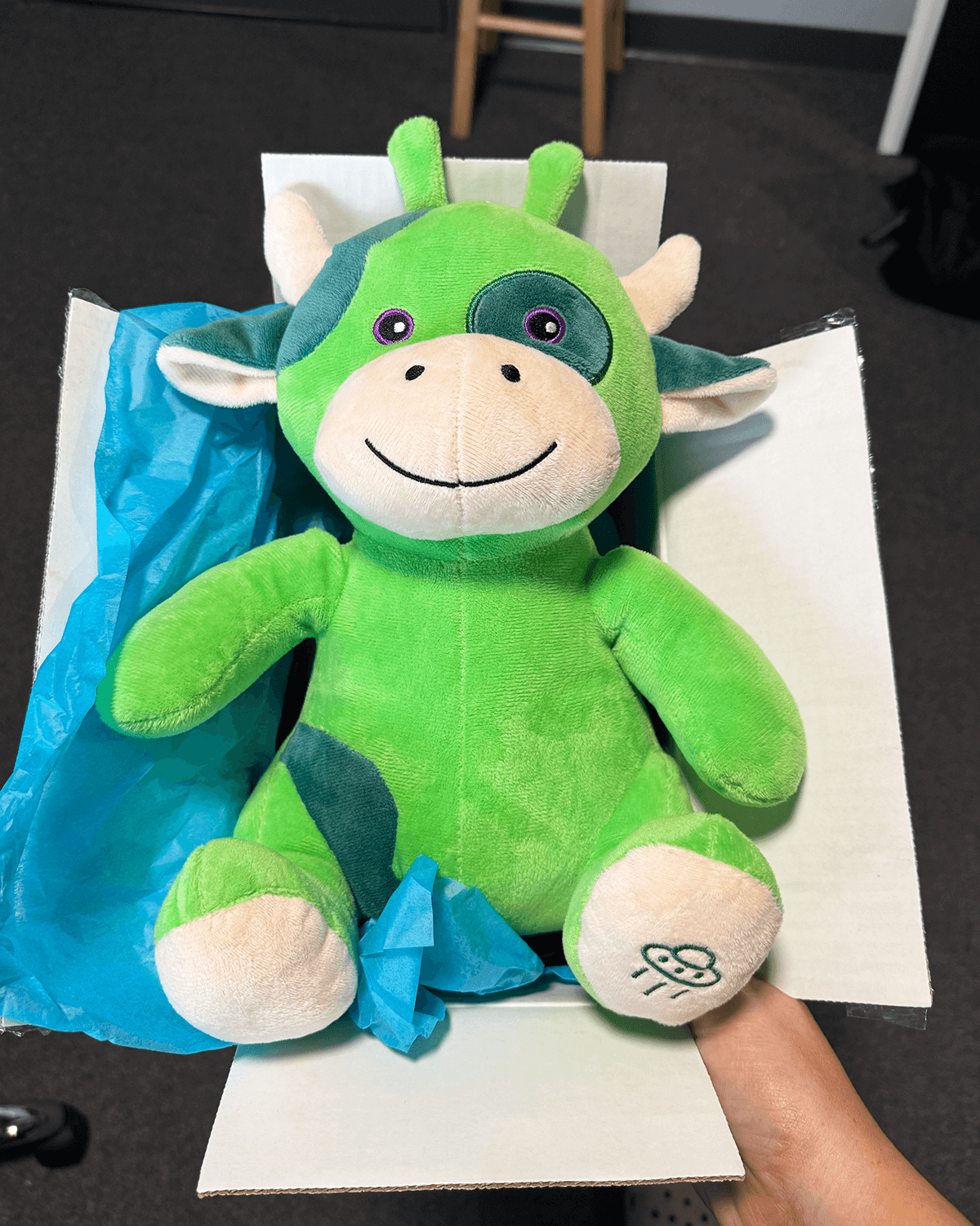 Alphi the Alien Cow 🛸🐮