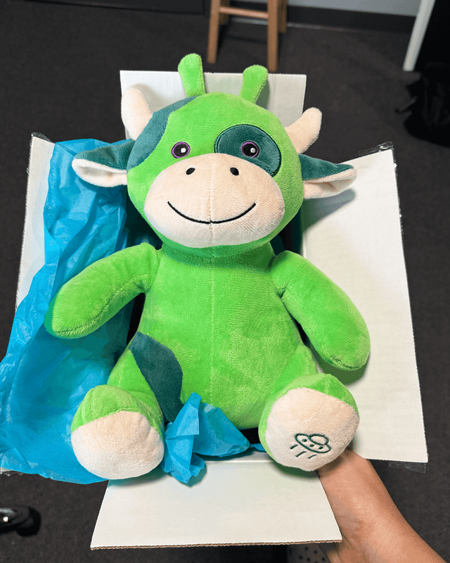 Alphi the Alien Cow 🛸🐮