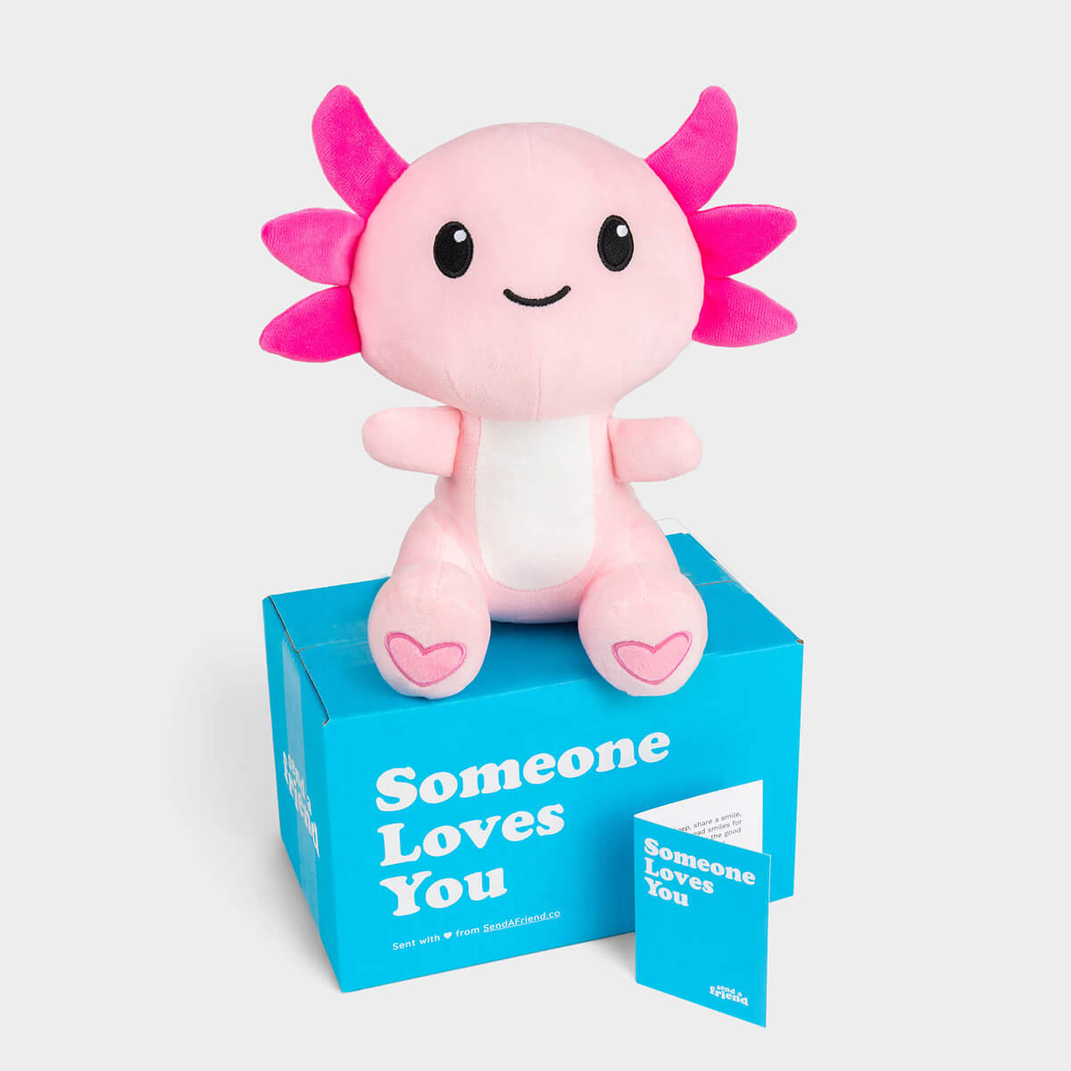 Alex the Axolotl Stuffed Animal Care Package - SendAFriend