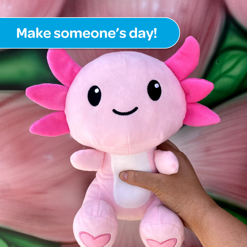 10 Stuffed Animal Care Package