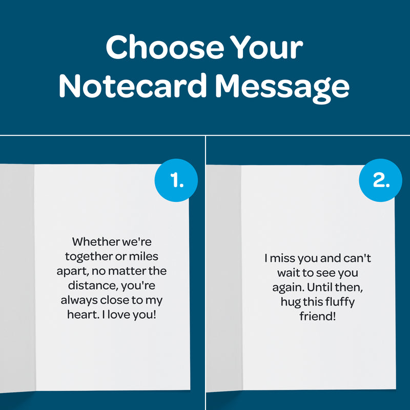 10 Stuffed Animal Care Package